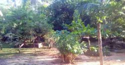 For sale Building land at 40 meters from the beach in Las Terrenas