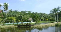 Residence luxury villas with golf course in Las Terrenas Dominican Republic